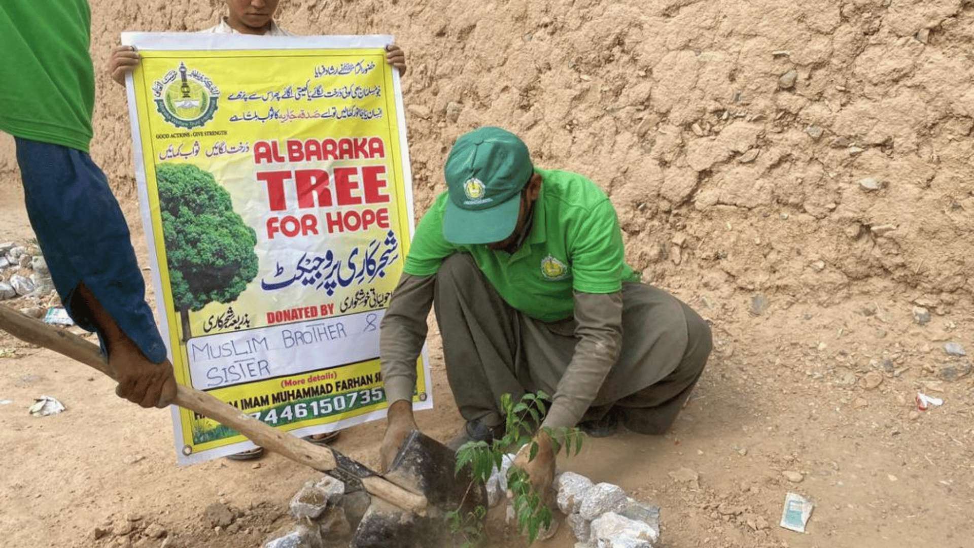 Tree Project Image 4